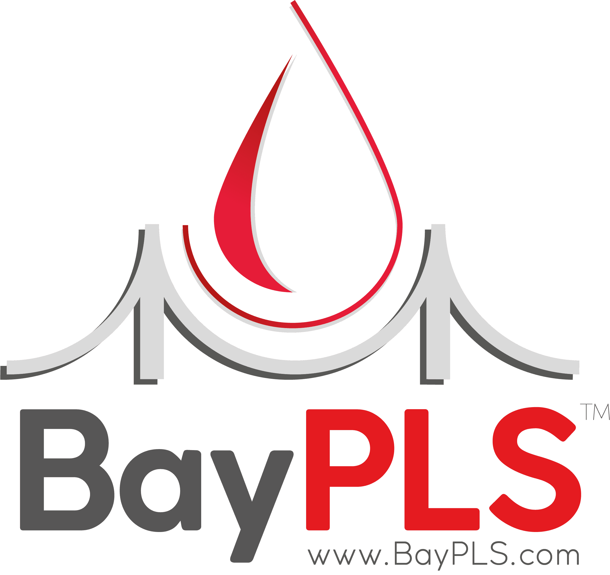 BayPLS logo